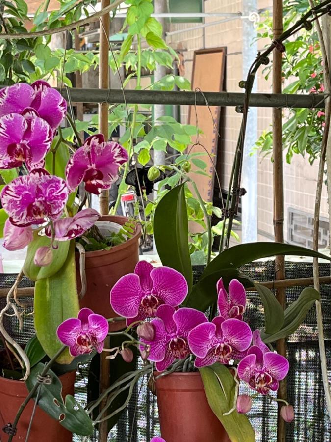 Garden Hostel Minxiong Εξωτερικό φωτογραφία
