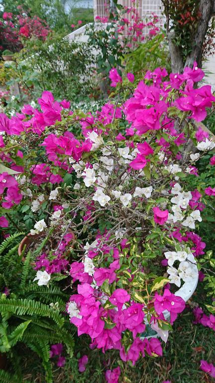 Garden Hostel Minxiong Εξωτερικό φωτογραφία